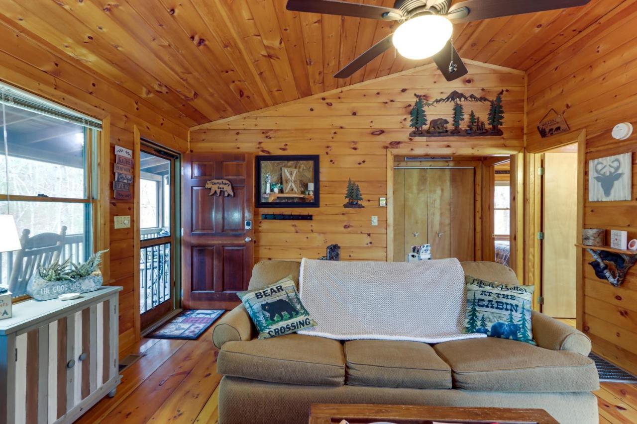 Blue Ridge Cozy Cabin In The Woods With Hot Tub! Exteriér fotografie