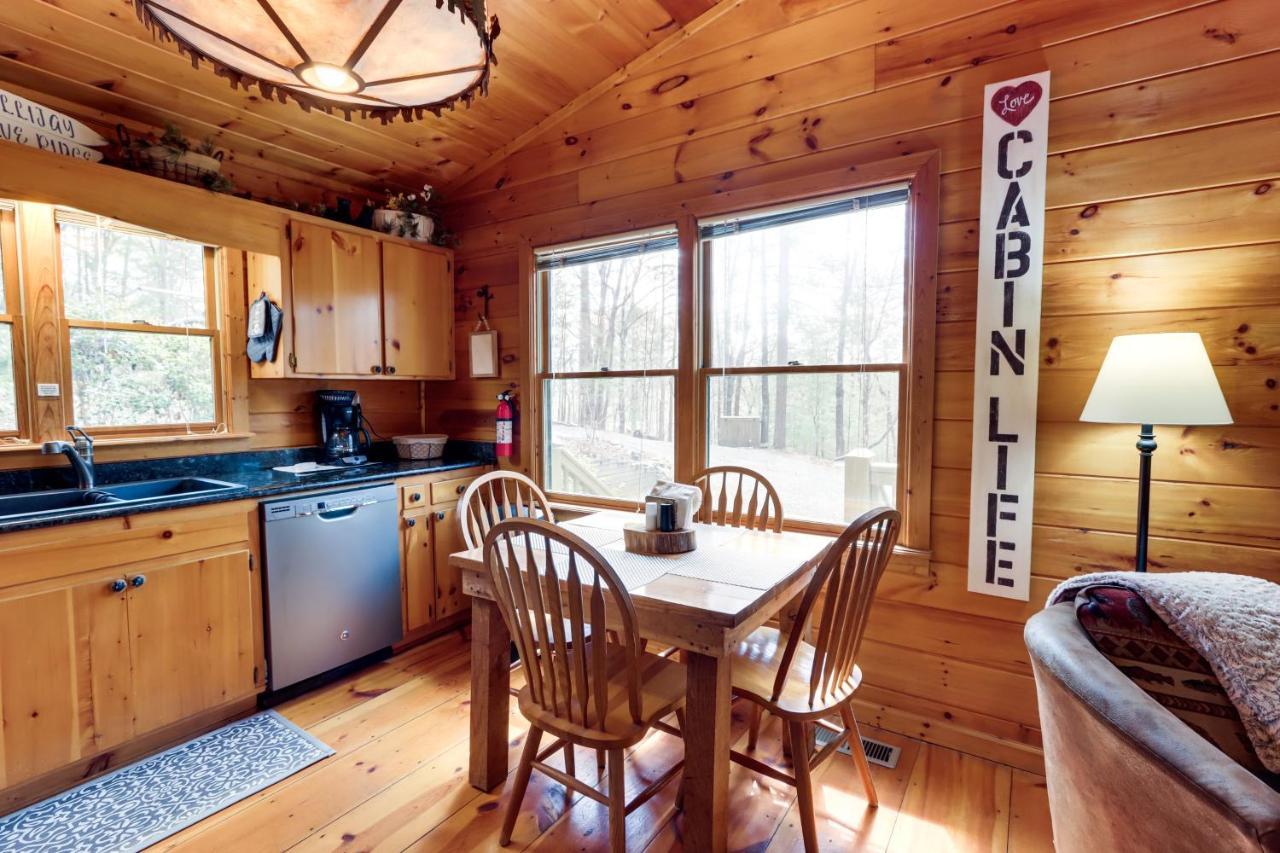 Blue Ridge Cozy Cabin In The Woods With Hot Tub! Exteriér fotografie